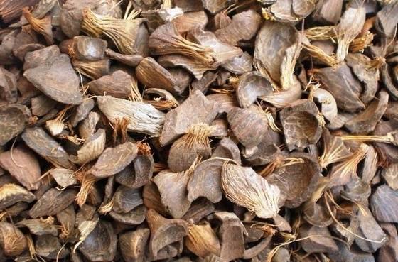 Palm Kernel Shells